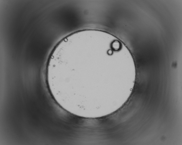 X0000103911136200809191113