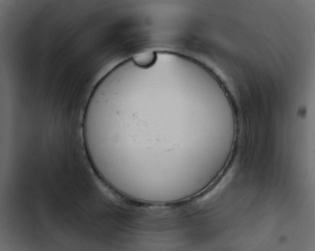 X0000103911137200809191113