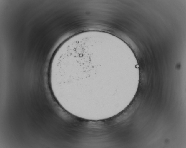 X0000103911138200809191113