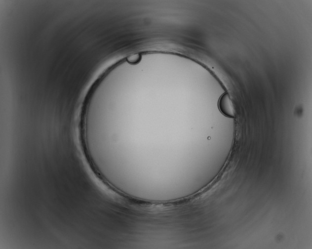 X0000103911139200809191113