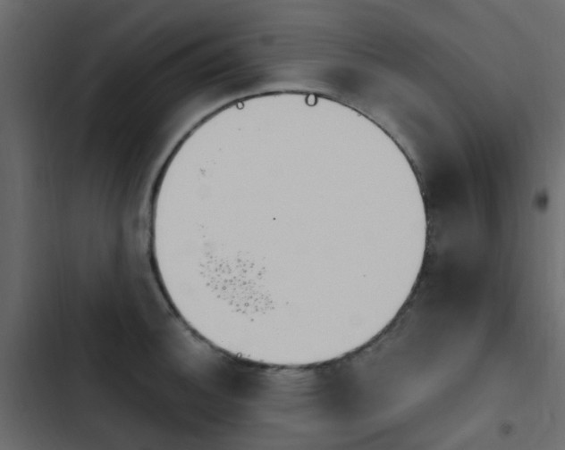 X0000103911140200809191113