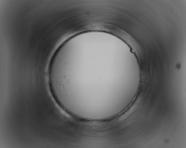 X0000103911141200809191113
