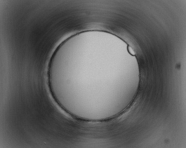X0000103911142200809191113