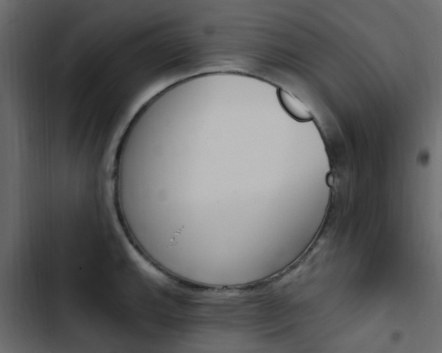 X0000103911143200809191113