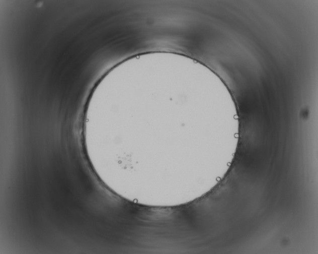 X0000103911144200809191113