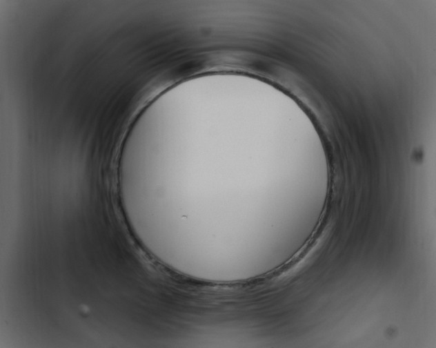 X0000103911145200809191113