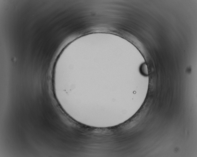 X0000103911146200809191113
