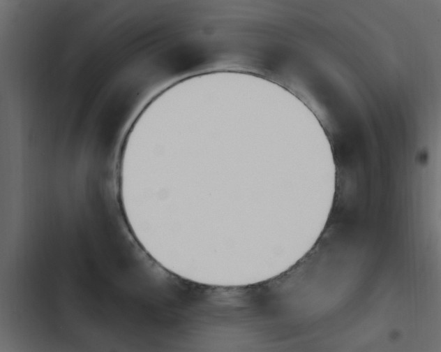 X0000103911148200809191113