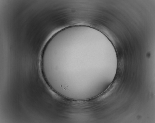 X0000103911149200809191113
