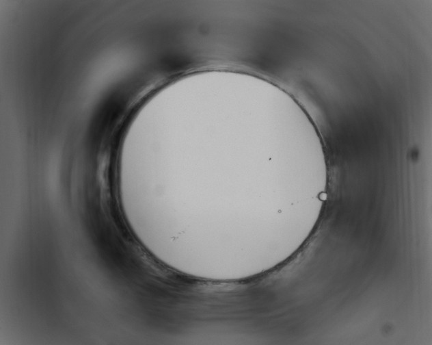 X0000103911150200809191113