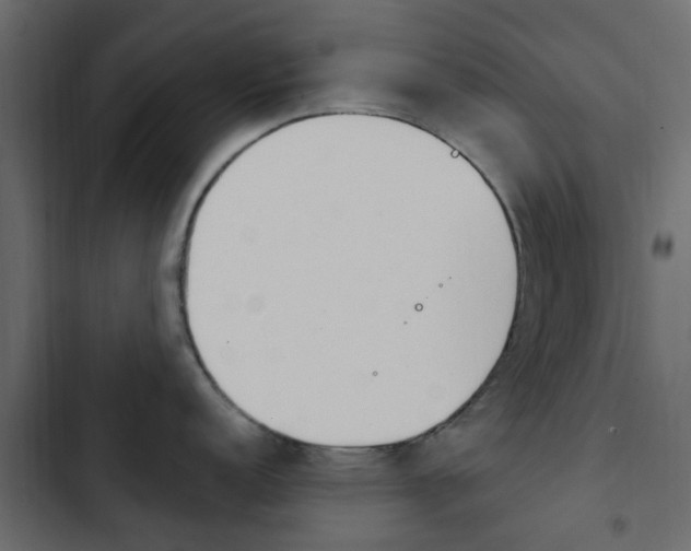 X0000103911152200809191113