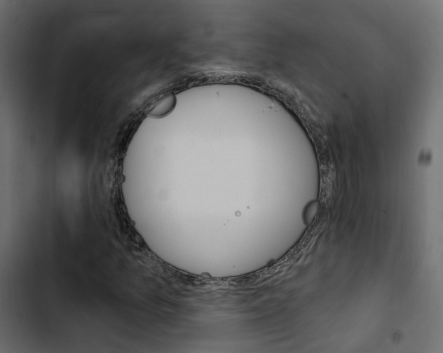 X0000103911157200809191112