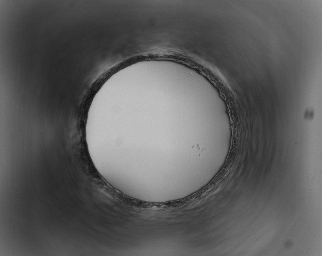 X0000103911160200809191112