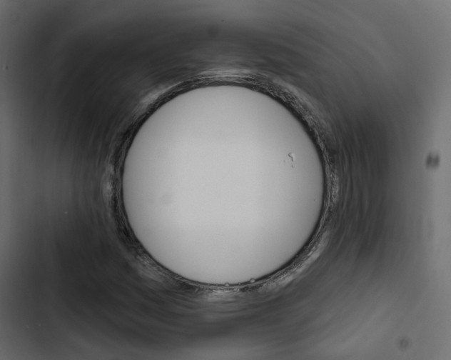 X0000103911161200809191112
