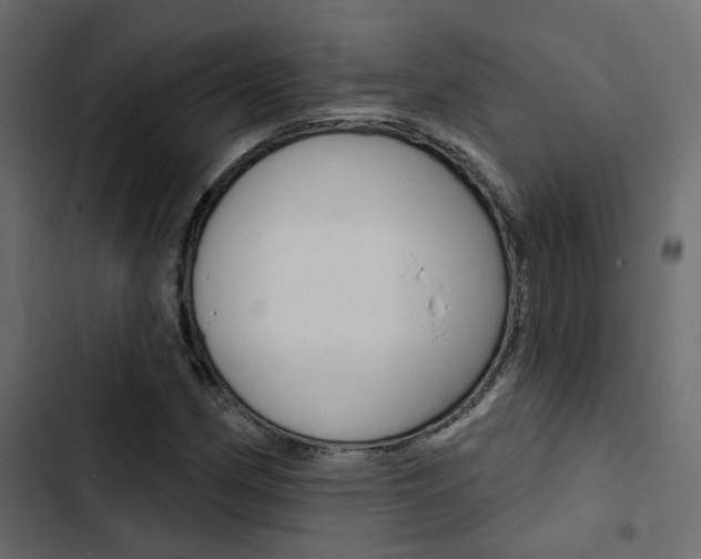 X0000103911162200809191112