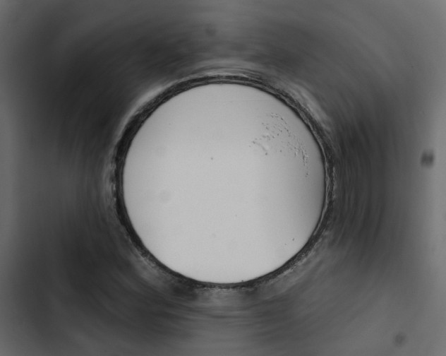 X0000103911164200809191112