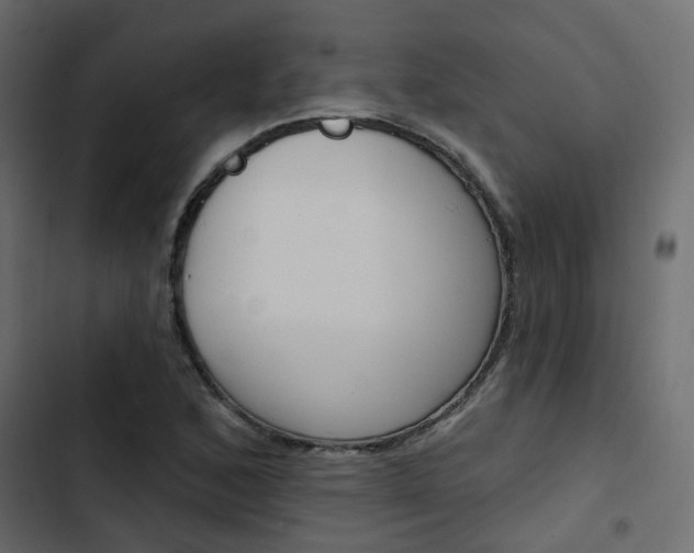 X0000103911168200809191112