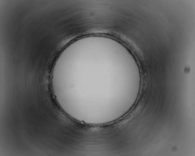 X0000103911169200809191112