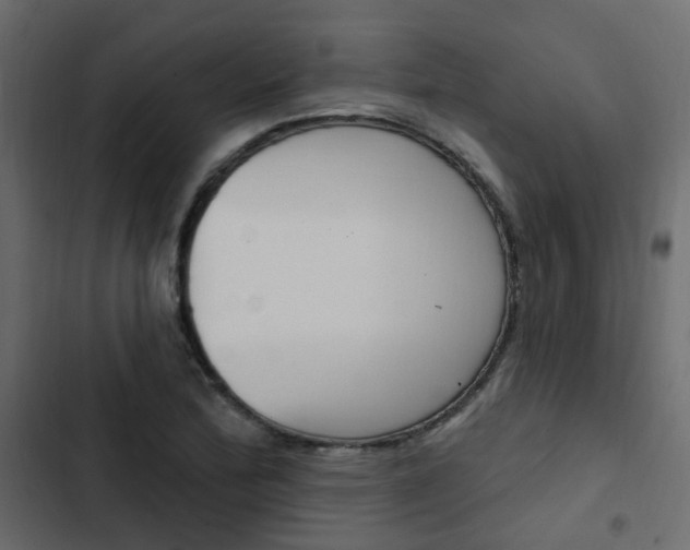 X0000103911172200809191112