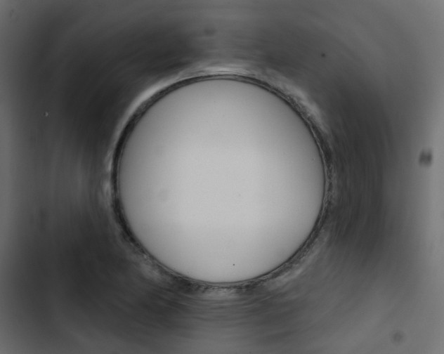 X0000103911174200809191112