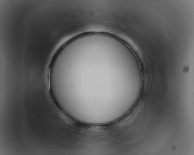 X0000103911175200809191112