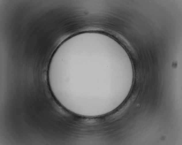 X0000103911177200809191112