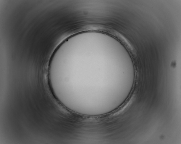 X0000103911178200809191112