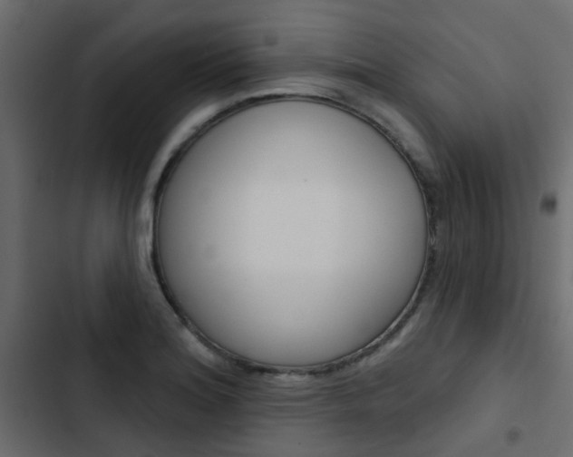 X0000103911180200809191112