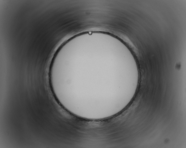 X0000103911181200809191112