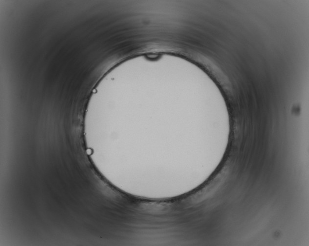 X0000103911185200809191112