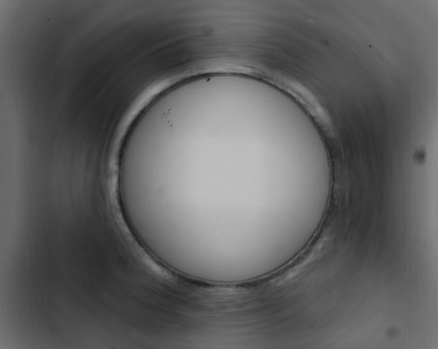 X0000103911188200809191112