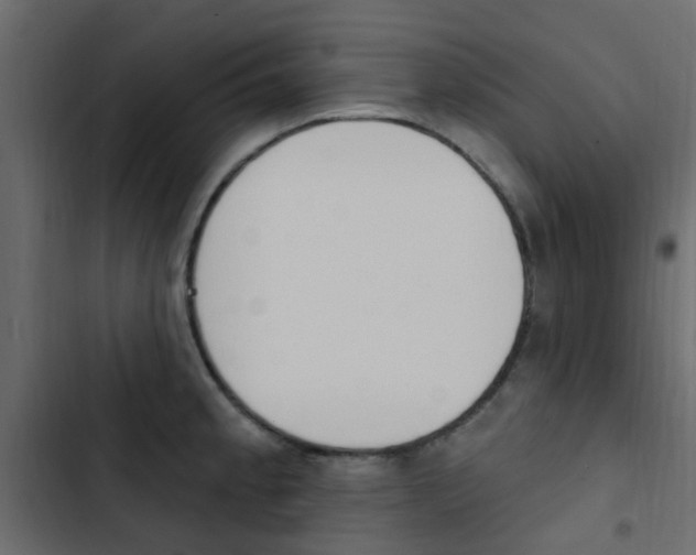 X0000103911189200809191112