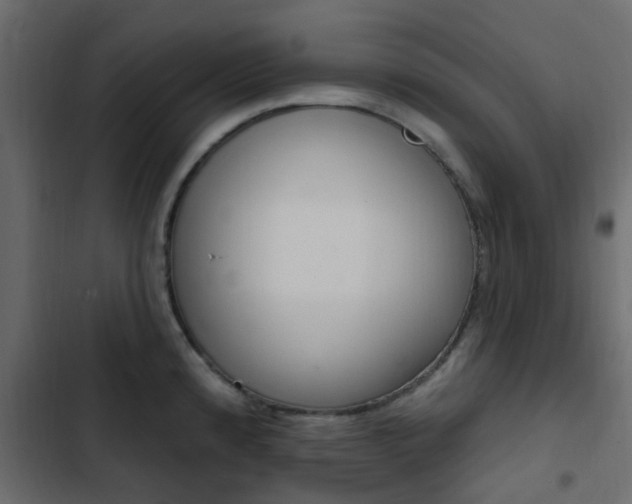 X0000103911192200809191112