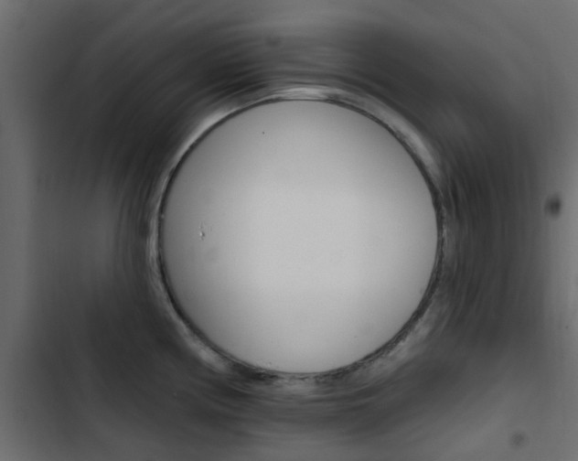 X0000103911194200809191112