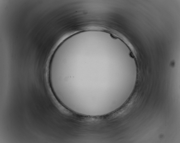 X0000103911195200809191112
