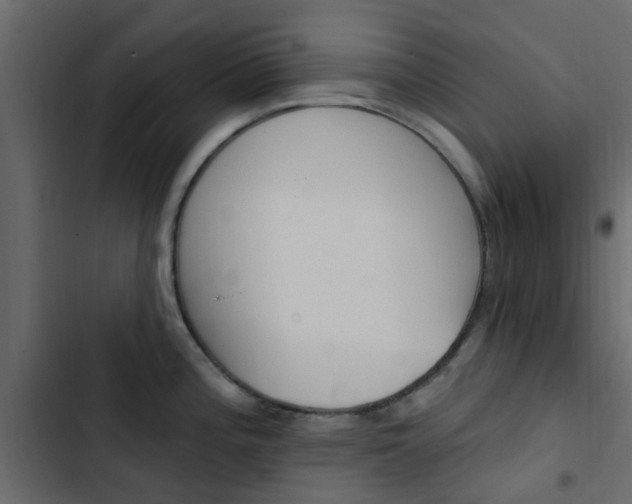 X0000103911196200809191112