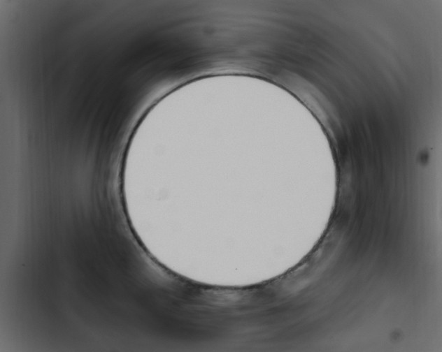 X0000103911197200809191111