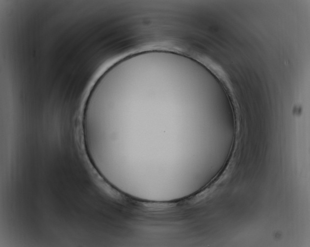 X0000103911200200809191111