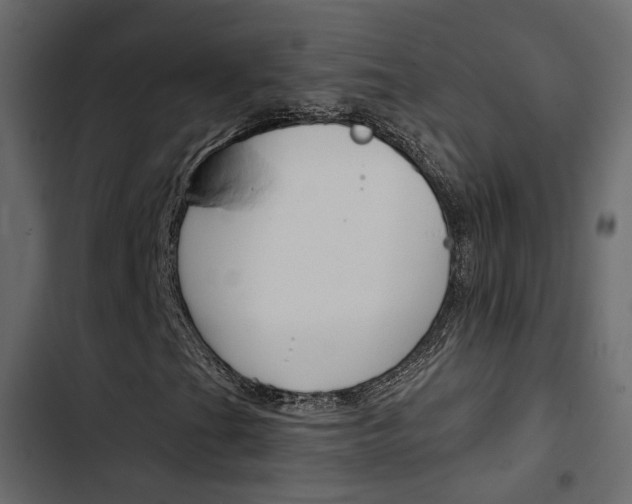 X0000103911201200809191111