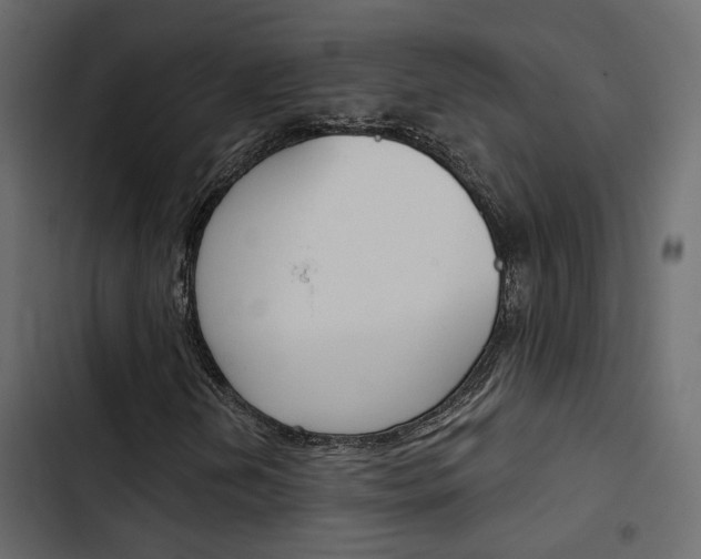X0000103911202200809191111
