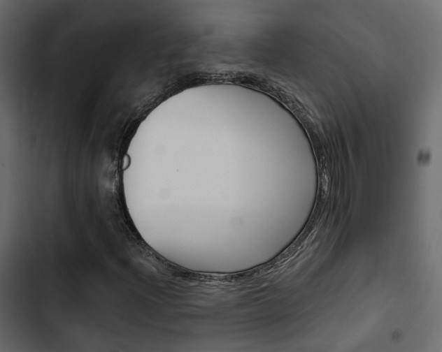 X0000103911204200809191111