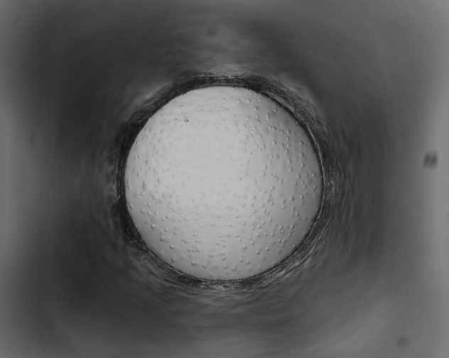X0000103911205200809191111