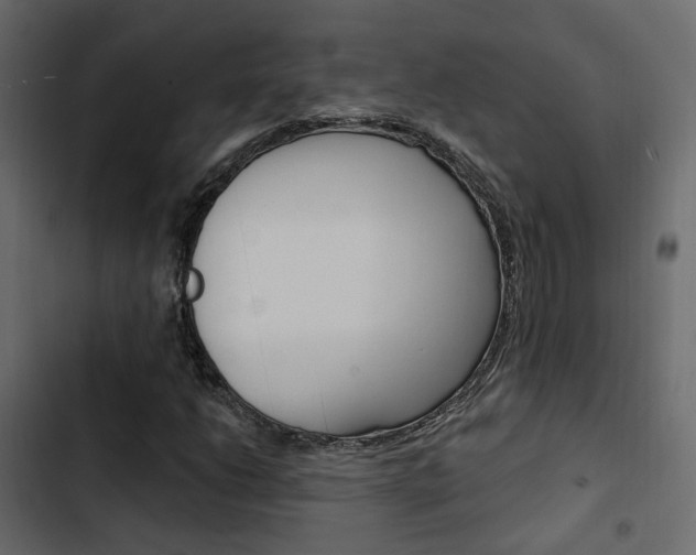 X0000103911206200809191111