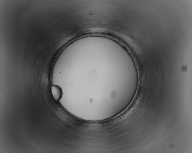 X0000103911209200809191111