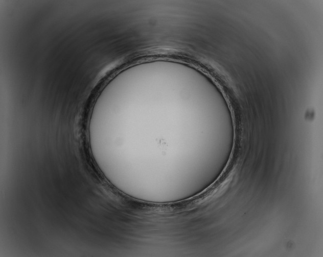 X0000103911210200809191111