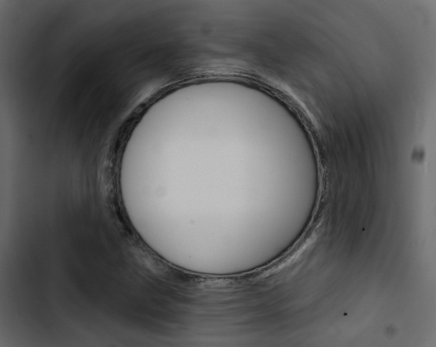 X0000103911211200809191111