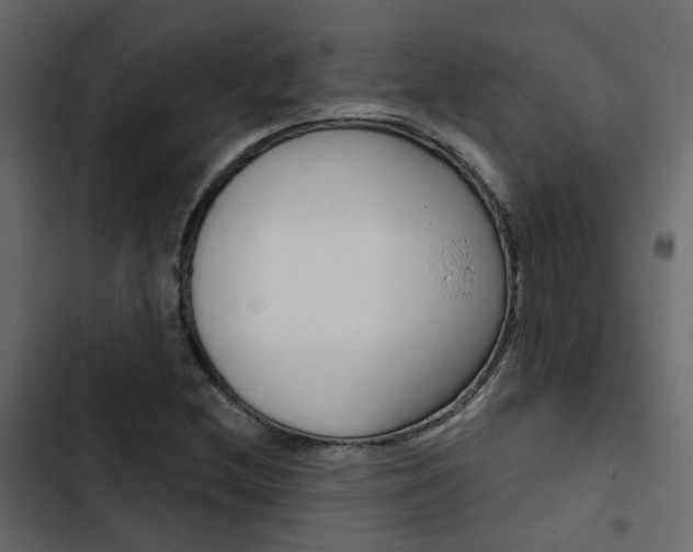 X0000103911212200809191111