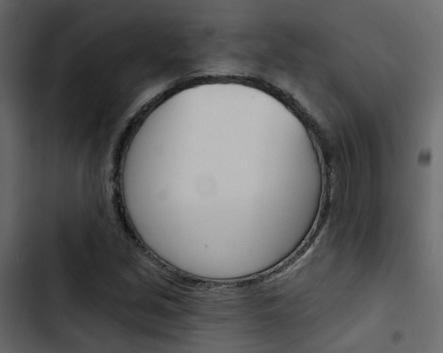 X0000103911213200809191111