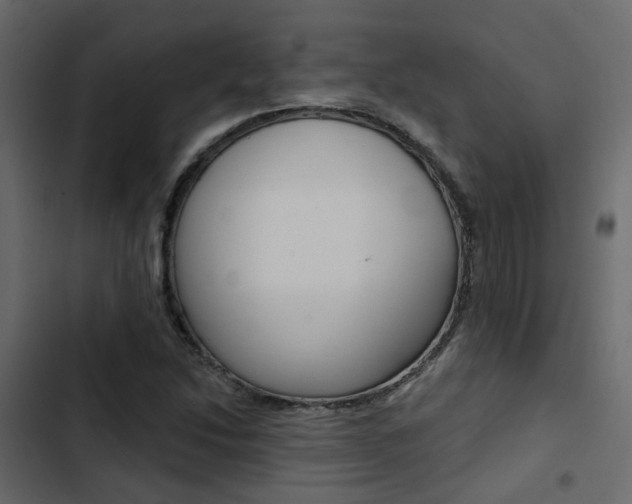X0000103911214200809191111