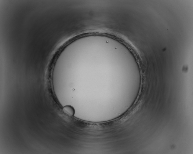 X0000103911215200809191111